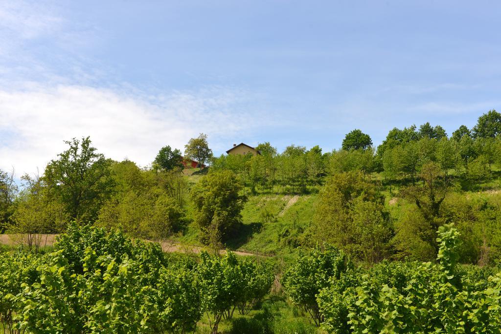 Casa Vacanze Il Brichet Mondovì Oda fotoğraf